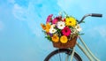 A bicycle with a basket of beautiful flowers on a light blue background. Royalty Free Stock Photo