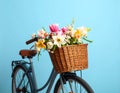 A bicycle with a basket of beautiful flowers on a light blue background. Royalty Free Stock Photo