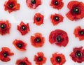 Red poppy flowers (Papaver rhoeas) float on a surface of white liquid, creating a striking contras Royalty Free Stock Photo
