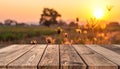 Silhouette photo of grass flower field sunset on wooden texture, abstract background Royalty Free Stock Photo