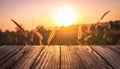 Silhouette photo of grass flower field sunset on wooden texture, abstract background Royalty Free Stock Photo