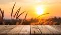 Silhouette photo of grass flower field sunset on wooden texture, abstract background Royalty Free Stock Photo