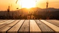 Silhouette photo of grass flower field sunset on wooden texture, abstract background Royalty Free Stock Photo