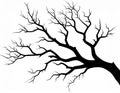 Silhouette of branch for horror feeling Royalty Free Stock Photo