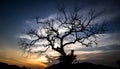 Silhouette of branch for horror feeling Royalty Free Stock Photo