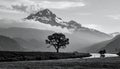 Majestic Snow-Capped Mountain Peak, Lone Tree, and Winding River in Black and White Royalty Free Stock Photo