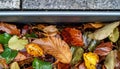 Autumn leaves in a gutter, wet and colorful, generated by AI Royalty Free Stock Photo