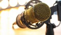 Golden Microphone on Stand Royalty Free Stock Photo