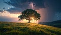 Dramatic Oak Tree in Stormy Sunset Royalty Free Stock Photo