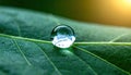 Macro shot of a perfect water droplet on a vibrant green leaf, generated by AI. Royalty Free Stock Photo