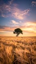 Landscape with a lonely tree and horizon. Royalty Free Stock Photo