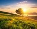 Landscape with a lonely tree and horizon. Royalty Free Stock Photo