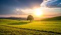 Landscape with a lonely tree and horizon. Royalty Free Stock Photo