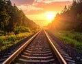 Sunset at the railway in the summer Royalty Free Stock Photo