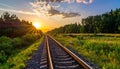Sunset at the railway in the summer Royalty Free Stock Photo