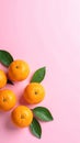 Oranges Illustration Image with Pink Background Royalty Free Stock Photo