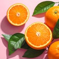 Oranges Illustration Image with Pink Background Royalty Free Stock Photo