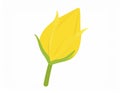 Yellow hand-dawn flower bud element Royalty Free Stock Photo