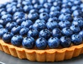 Delicious blueberry tart on plate, closeup Royalty Free Stock Photo
