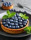 Delicious blueberry tart on plate, closeup Royalty Free Stock Photo