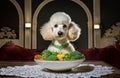 Generated image, diet, vegetarian, vegetalian, funny dog at restaurant Royalty Free Stock Photo