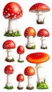 Red Fly Agaric Mushroom and Poisonous Forest Toadstool Vector Set Royalty Free Stock Photo