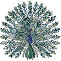 Kalamezhuthu Inspired Peacock Vector with Symmetrical Floral Motifs and Bright Colors Royalty Free Stock Photo