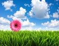 High resolution 3d green grass over a blue sky banner with white clouds as background Royalty Free Stock Photo