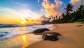 Tropical beach paradise - beautiful sunset on the ocean, Sri Lanka, travel destination Royalty Free Stock Photo