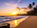 Tropical beach paradise - beautiful sunset on the ocean, Sri Lanka, travel destination Royalty Free Stock Photo