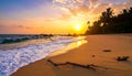 Tropical beach paradise - beautiful sunset on the ocean, Sri Lanka, travel destination Royalty Free Stock Photo
