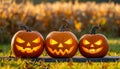 Jack-o\'-lanterns carved from pumpkins as an outdoor decoration for Halloween Royalty Free Stock Photo