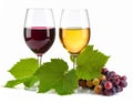 Red and white wine on white background. Royalty Free Stock Photo