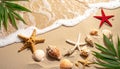 Sea shells, starfish and crab on beach sand for summer and beach concept. Studio shot Royalty Free Stock Photo