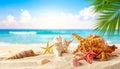 Sea shells, starfish and crab on beach sand for summer and beach concept. Studio shot Royalty Free Stock Photo