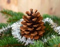 Christmas tree with a pinecone in tinsel Royalty Free Stock Photo
