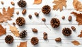 Autumn flat lay with pine cones, acorns, and leaves on white wood. Natural fall background for Thanksgiving or seasonal Royalty Free Stock Photo