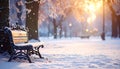 Winter park bench in snow at sunrise. Peaceful snowy landscape with beautiful golden light and copy space. Royalty Free Stock Photo