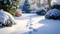 Winter Garden with Footprints in Fresh Snow and Morning Sunlight. Snowy Landscape Path. Royalty Free Stock Photo