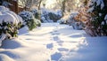 Footprints in fresh snow on a winter garden path. Serene backyard landscape with morning sunlight and snow-covered bushe Royalty Free Stock Photo