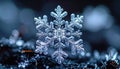 Snowflake macro of a perfect ice crystal. Intricate detailed snow on a cold winter background with beautiful blue bokeh. Royalty Free Stock Photo