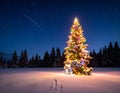Christmas tree in snowy night. Magnificent colorful Christmas tree outdoor in a snowy Royalty Free Stock Photo