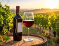 Red Wine Royalty Free Stock Photo