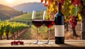 Red Wine Royalty Free Stock Photo