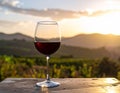 Red Wine Royalty Free Stock Photo