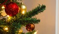 Close look at Christmas tree Royalty Free Stock Photo