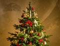 Close look at Christmas tree Royalty Free Stock Photo