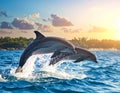 Two dolphins (Delphinus delphis) leap gracefully from the ocean Royalty Free Stock Photo