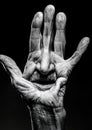 An artistic black and white image features a detailed human hand with pronounced wrinkles and texture. Royalty Free Stock Photo
