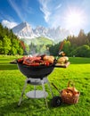 Summer grill and fast food Royalty Free Stock Photo